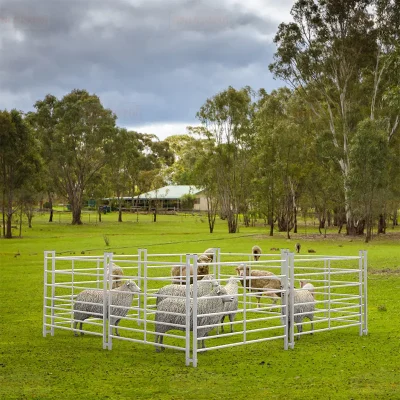 7 Railed Metal Galvanized Sheep Hurdle