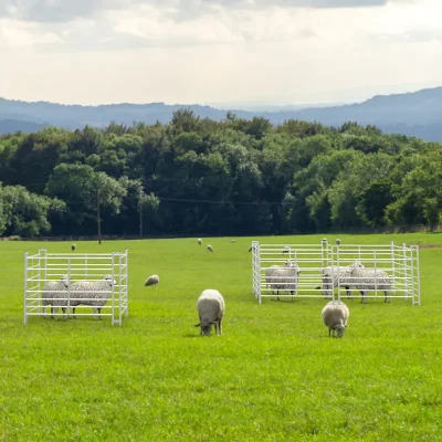 Metal Galvanized Sheep Hurdle Application