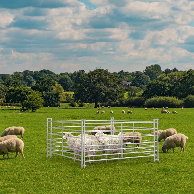 6ft 7 Railed Metal Galvanized Sheep Hurdle Fence Application