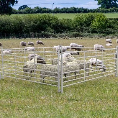 8ft Sheep Hurdle Fence