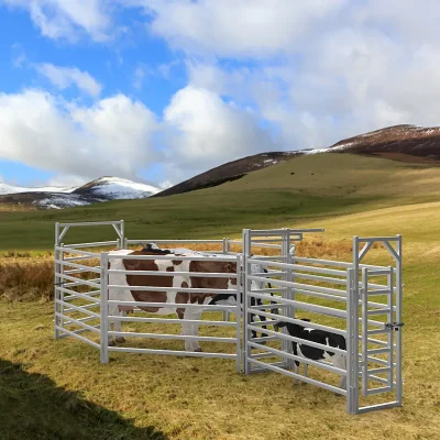Cattle Fence Application