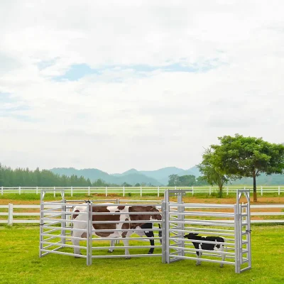 Metal Cattle Fence Application
