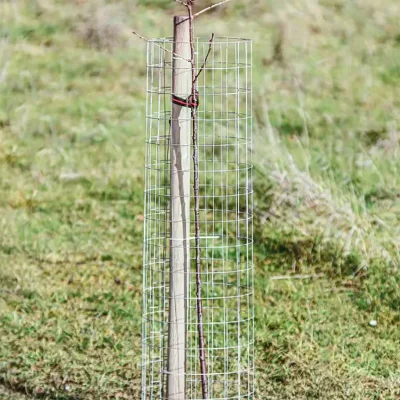 Resistance Welded Wire Mesh Application