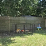 Outdoor Indoor Portable Metal Dog Playpen