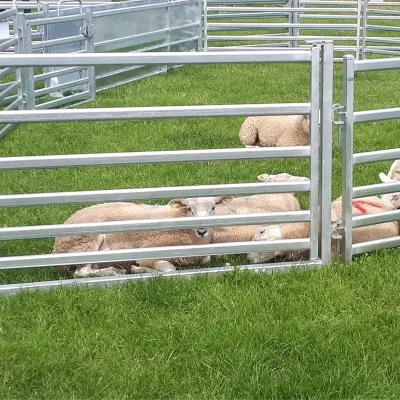 Sheep Yard Gate Application