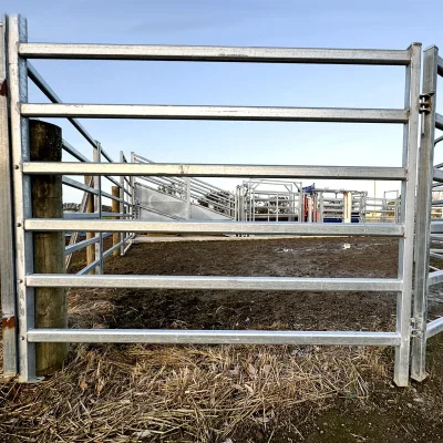 horse yard fencing