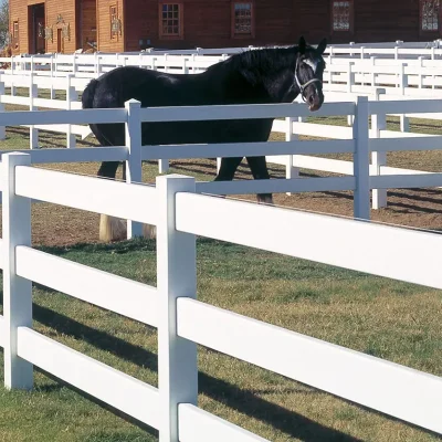 Ranch Fence in Horse Farm