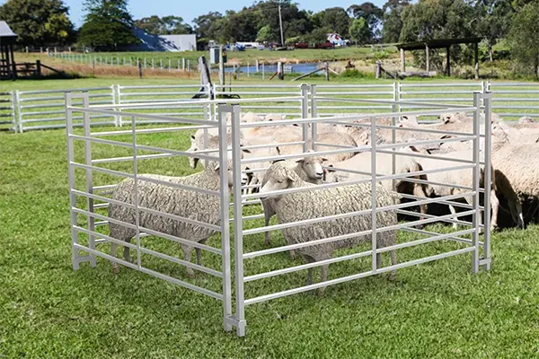 Metal-Sheep-Fence-Application